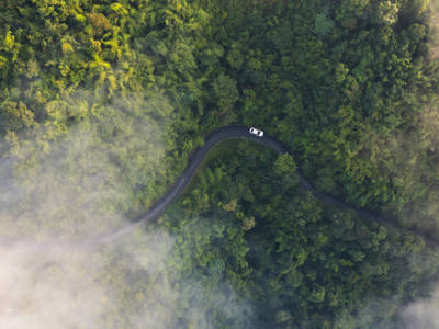 Car Driving Along Winding Road Through Forest (1)