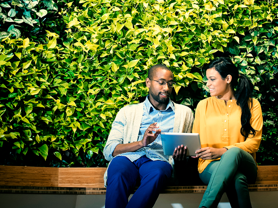 Providing Full Ownership Data to Comply with Foreign Regulations