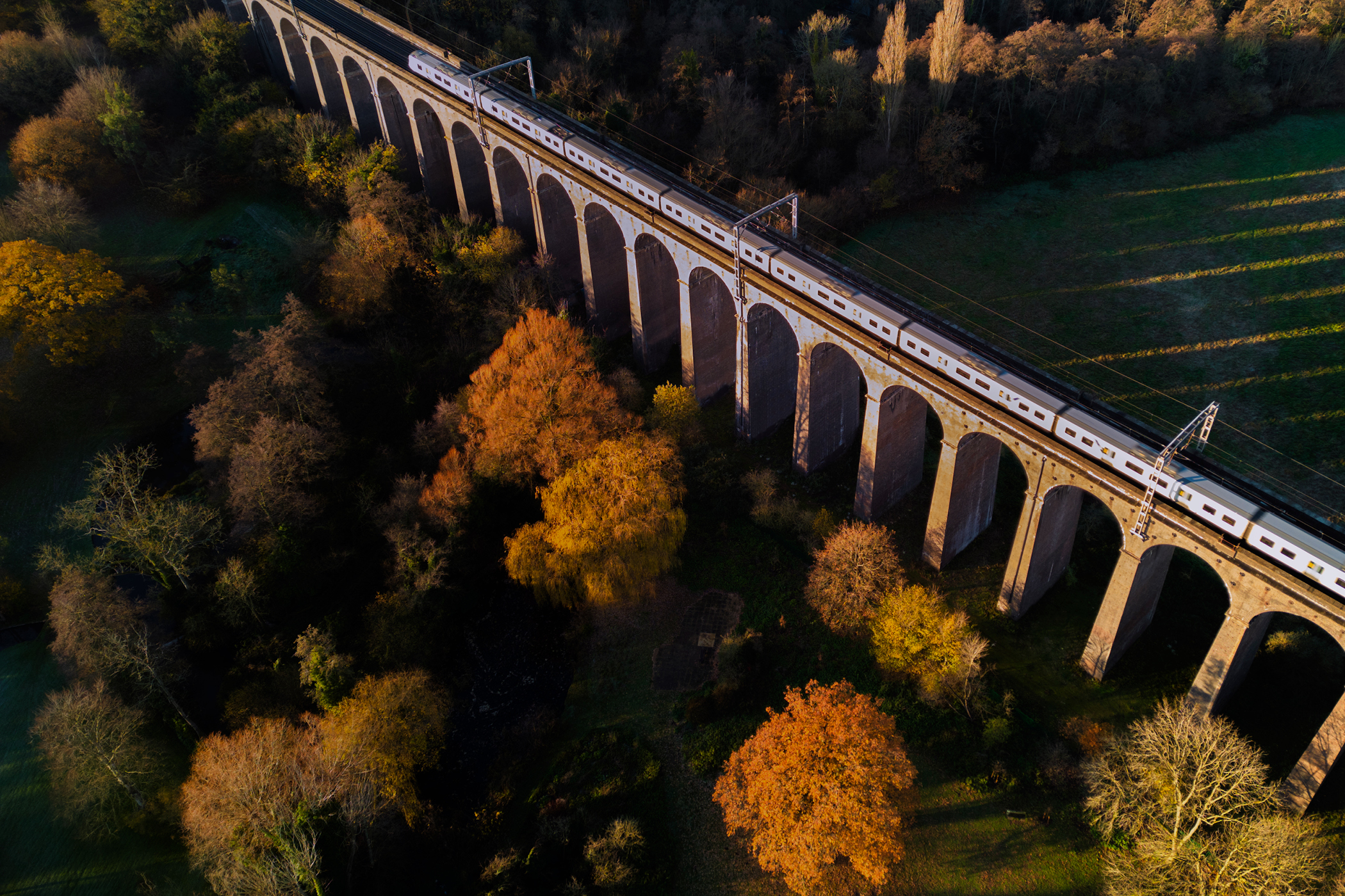 Rail Passenger Operations