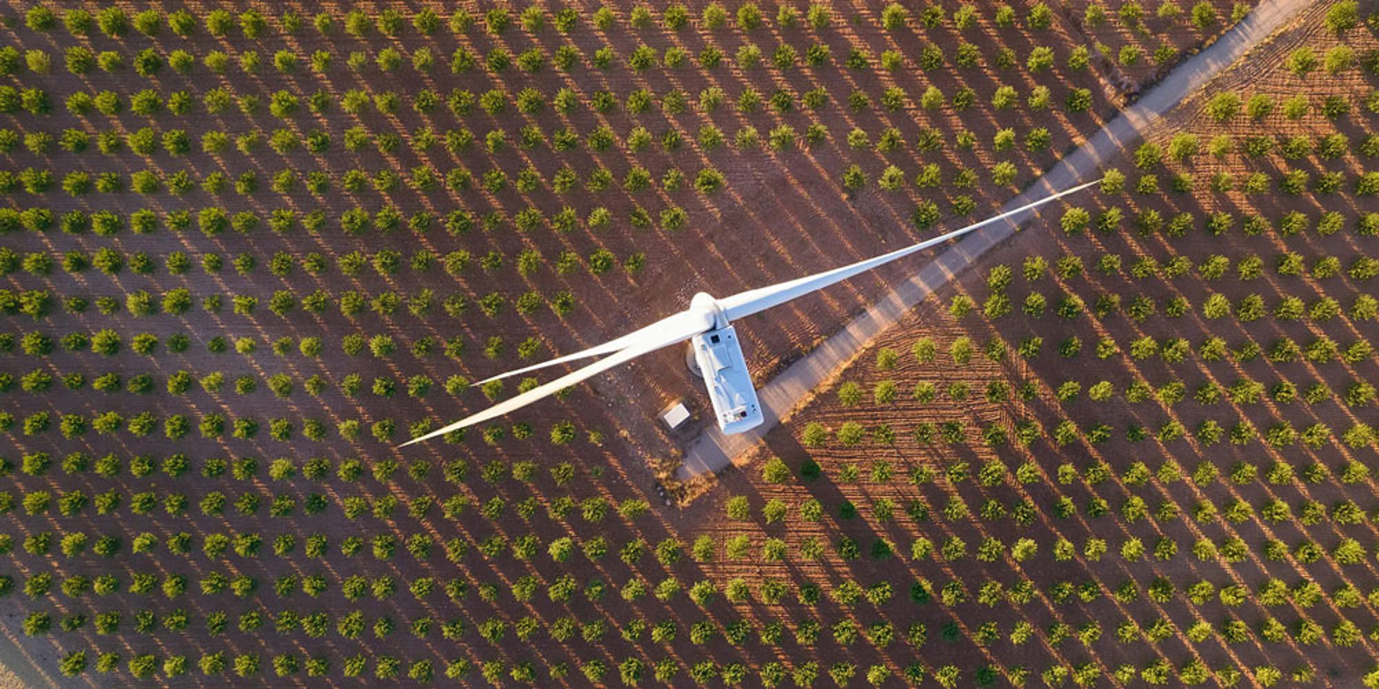 Wind turbine in a field
