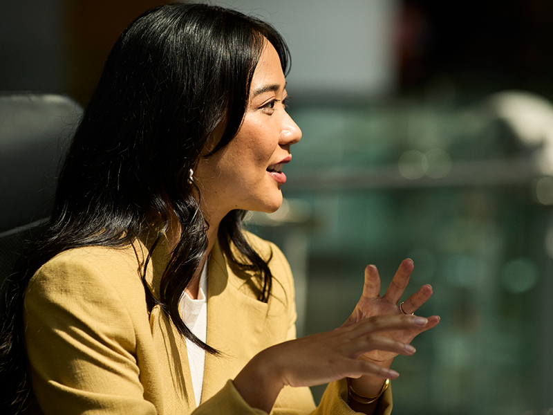 Progress To Date And Recommendations