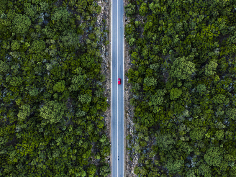 Approach To Deforestation In Great Britain: What Listed Companies Need To Know