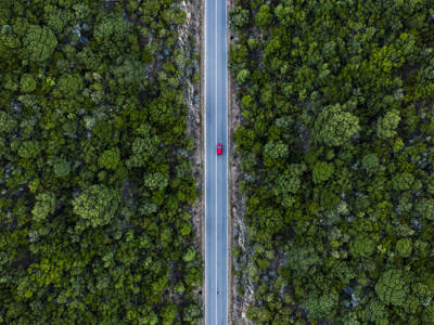 Approach To Deforestation In Great Britain: What Listed Companies Need To Know
