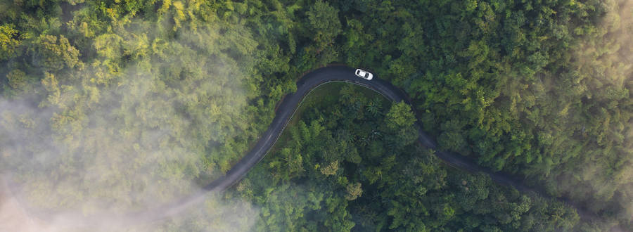 Car Driving Along Winding Road Through Forest